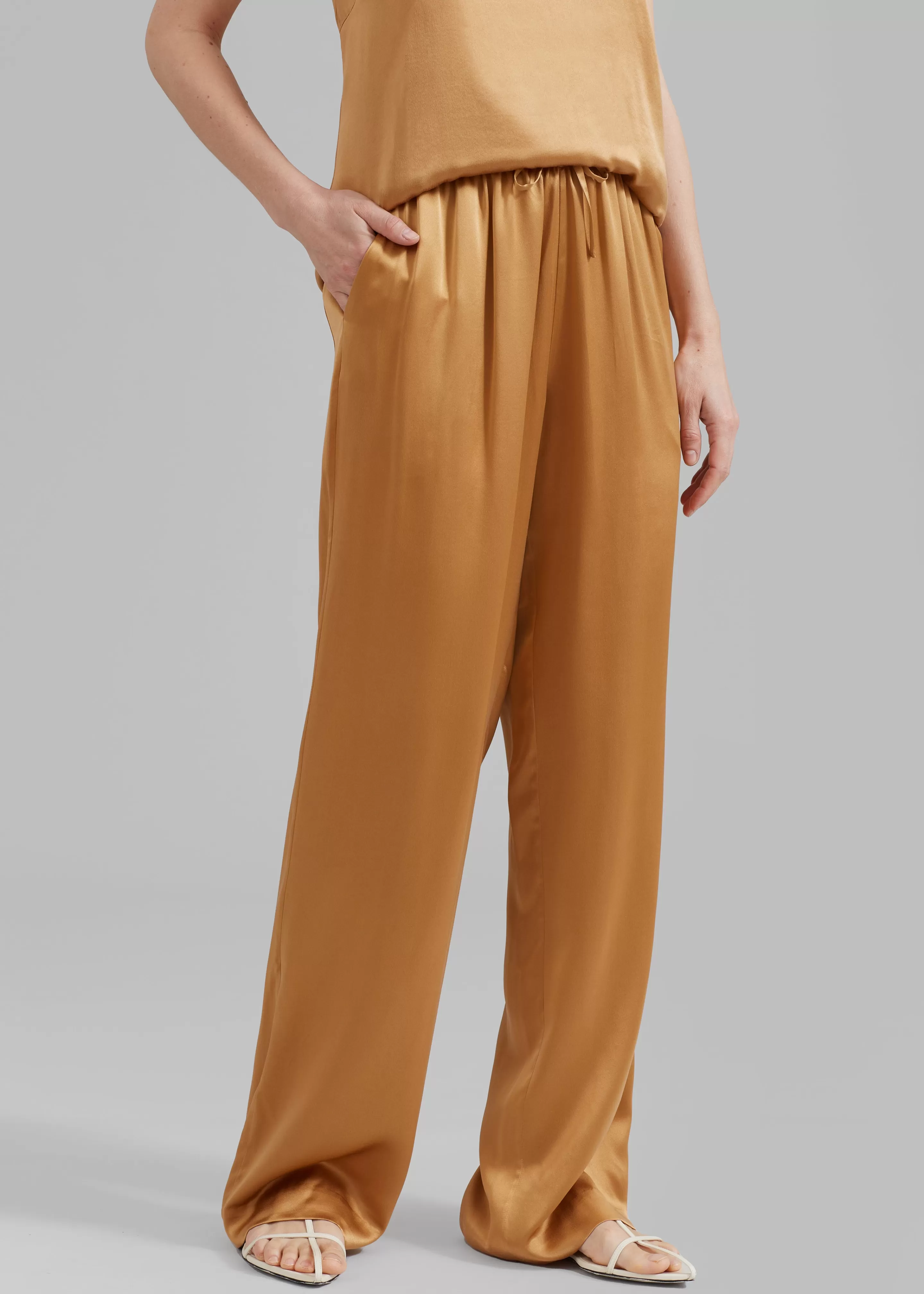 Bottoms | The Frankie Shop Loulou Studio Soma Silk Pants Camel